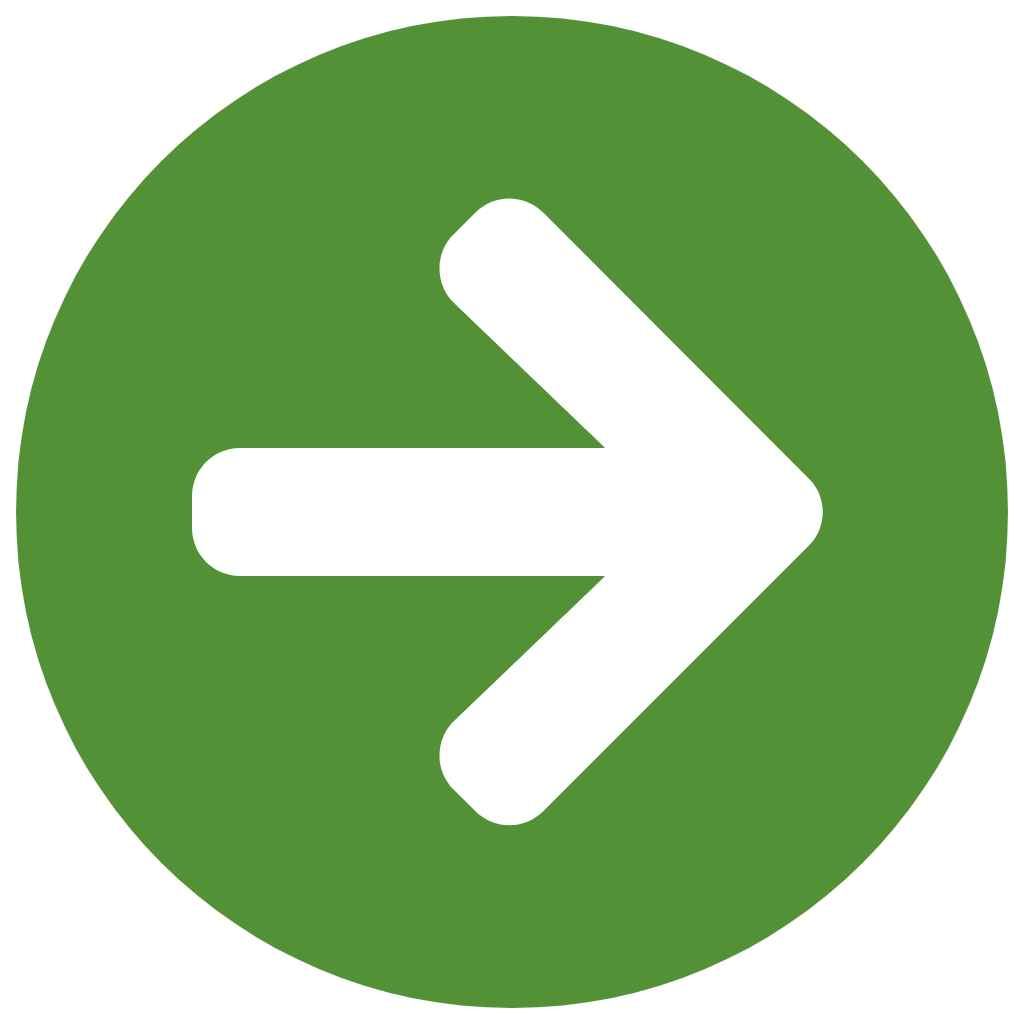 Green Task Icon