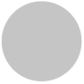 Exact Match Gray Icon