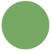 Exact Match Green Icon
